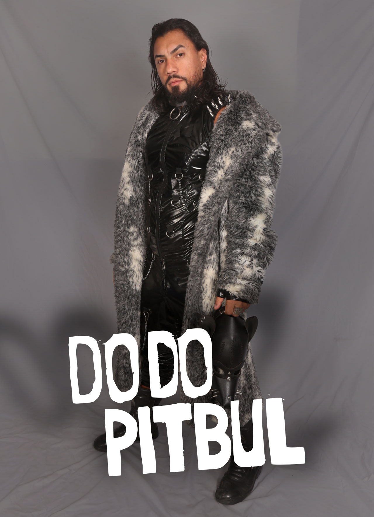 Dodo Pitbul